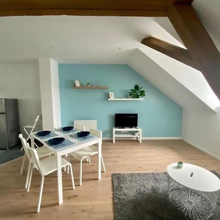 Studio Cosy Comme A La Maison Mulhouse Ngoại thất bức ảnh