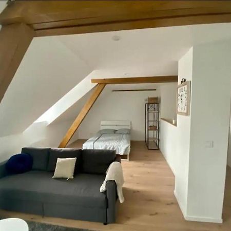 Studio Cosy Comme A La Maison Mulhouse Ngoại thất bức ảnh
