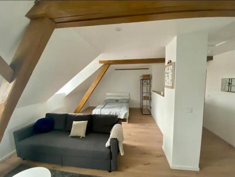 Studio Cosy Comme A La Maison Mulhouse Ngoại thất bức ảnh